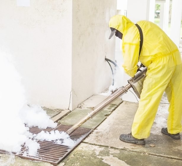 Man is using thermal fog machine to protect mosquito spreading